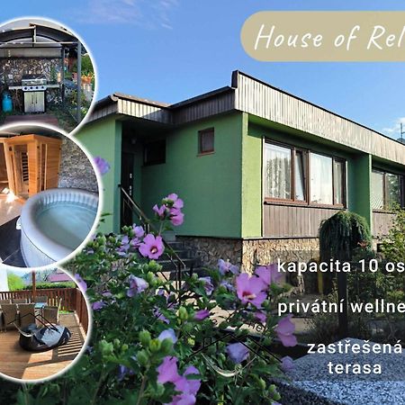 House Of Relax Villa Recany nad Labem Luaran gambar